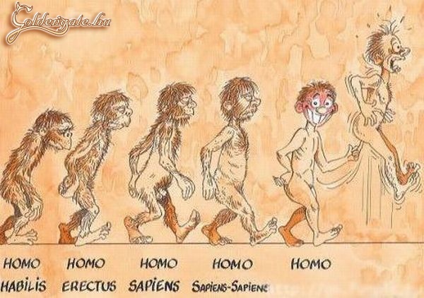 Homo :)