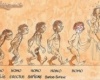 Homo :)