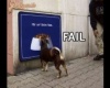 Pech