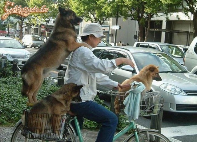 Taxi