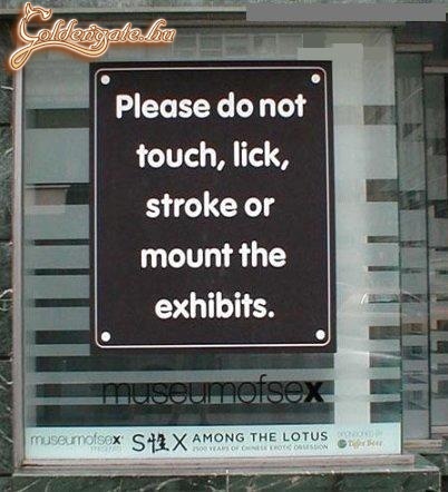 Museum of sex