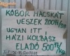 Fincsi lehet...