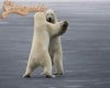 medvék tánca :)