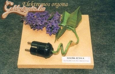 Elektromos orgona