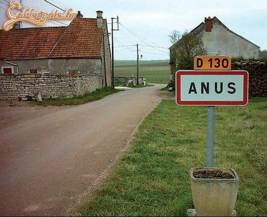 ANUS