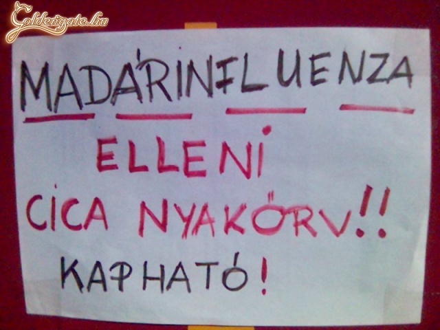 Nyakörv