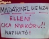 Nyakörv