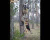 Amikor a fára mászás sem segít