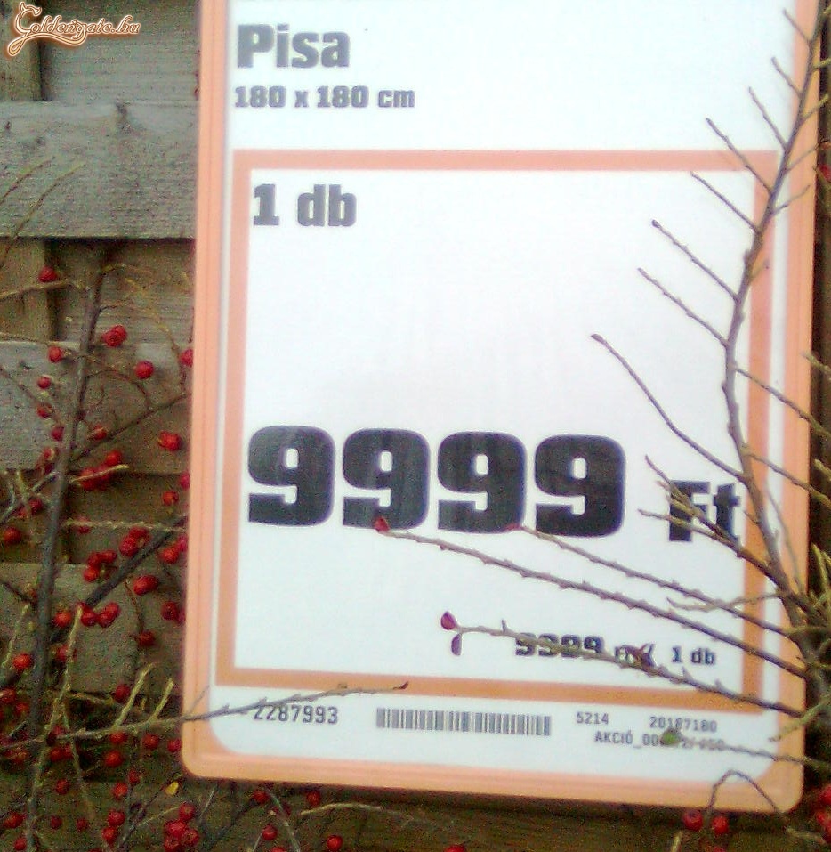 1 db drága, de nagy PISA!