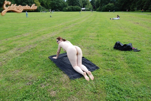 Sorozat 3 - 29. kép