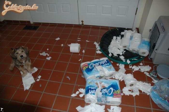 milyen buszke magara :)