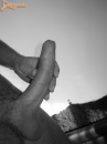 Black and White - 10. kép