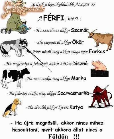 ferfi