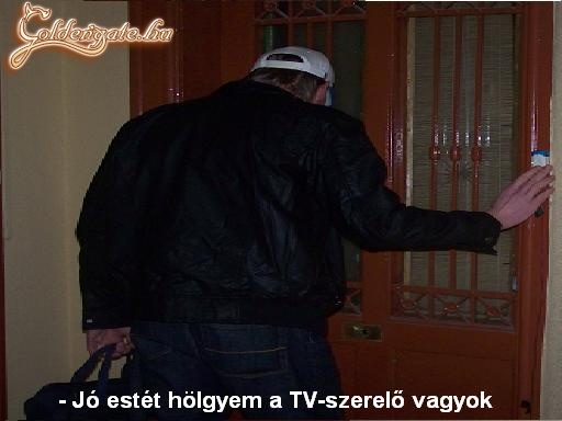 A háziasszony és a Tv-szerelő - 5. kép