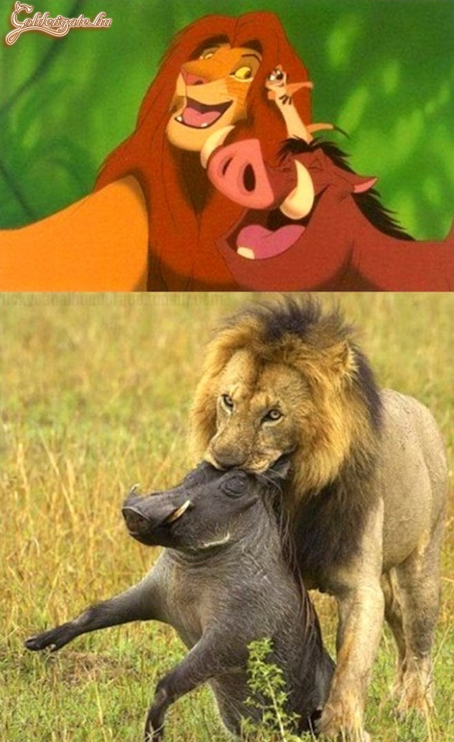 Hakunamatata