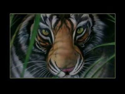 Tigris