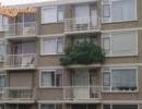 Hollandia