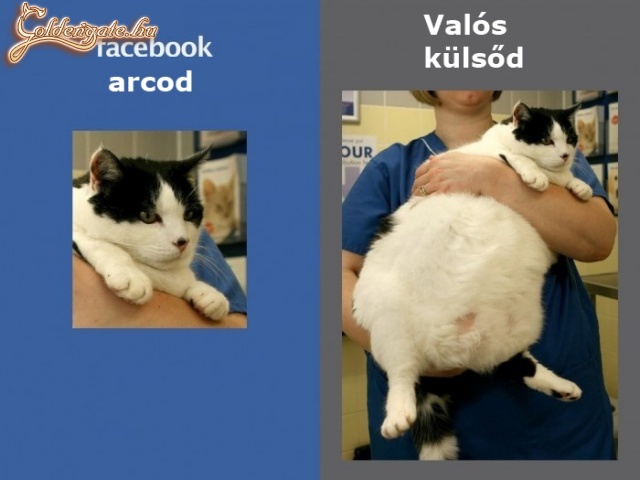 Facebook külsö