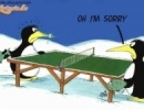 SORRY