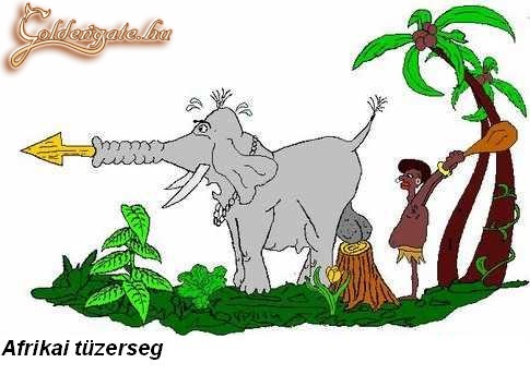 Afrikai....