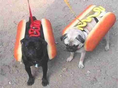 Hot Dog