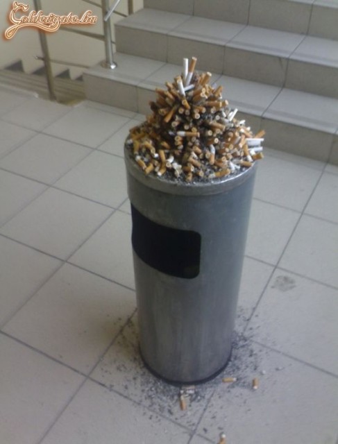 Csikkhalom