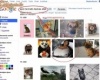 Google Fail