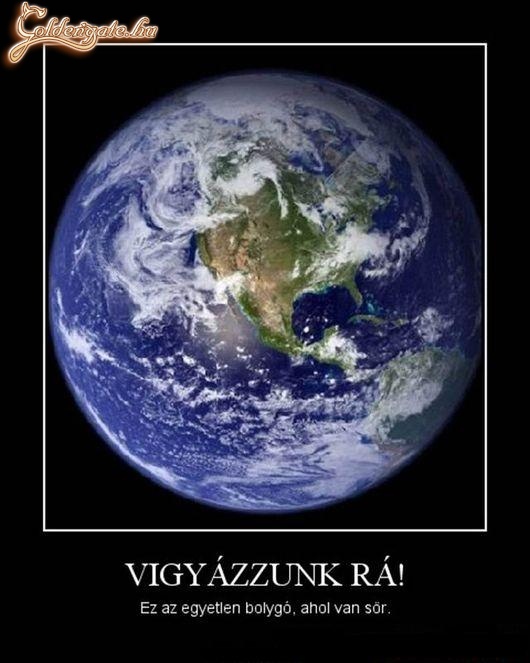 Legszebb öröm a söröm