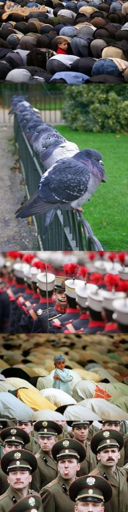 Kakukktojás