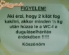 Duguláselhárítás