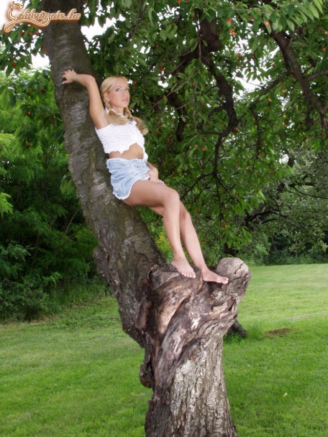 Pamacs punci - 54. kép