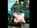 Pigmobil