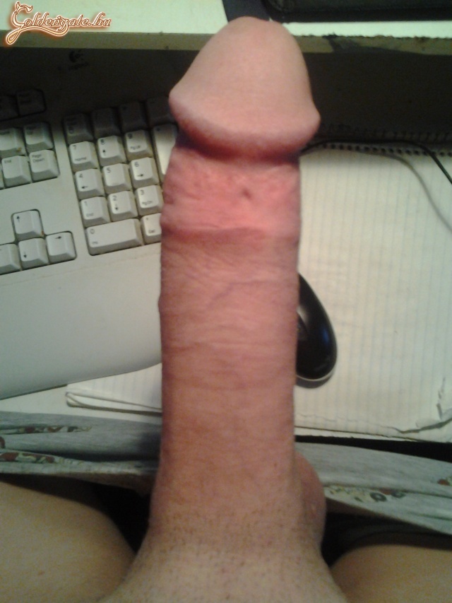 Gazdiját keresi:D - 13. kép