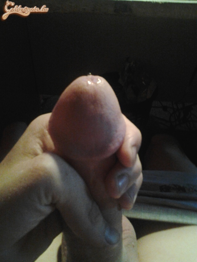 Gazdiját keresi:D - 14. kép