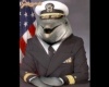 Az amerikai tengerészet új admirálisa