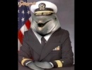Az amerikai tengerészet új admirálisa