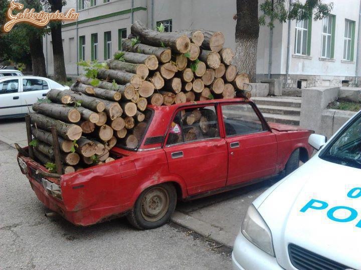 motorizált fa tolvaj ...