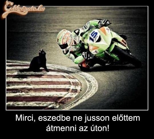 Eszedbe ne jusson!