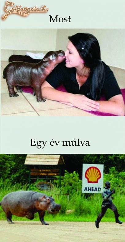 most és egy év múlva