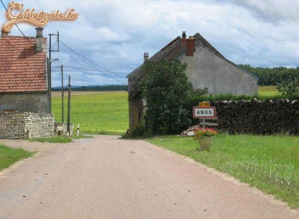 biztos sokan szeretnek "idevalósik" lenni 