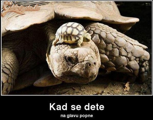 ha a gyerekünk a fejünkre mászik