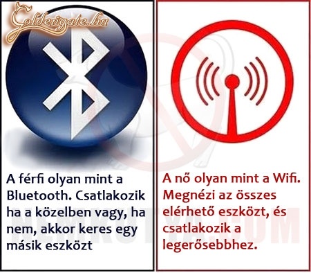 nők és férfiak wifi szinten