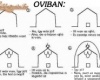 oviban