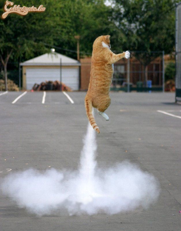 JetCat