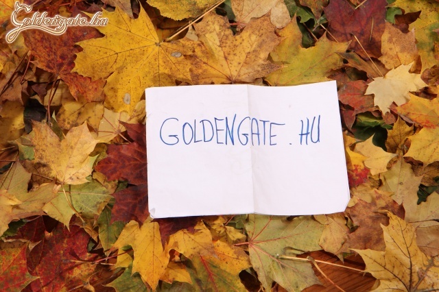 Itt van az ösz, itt van újra... - 60. kép