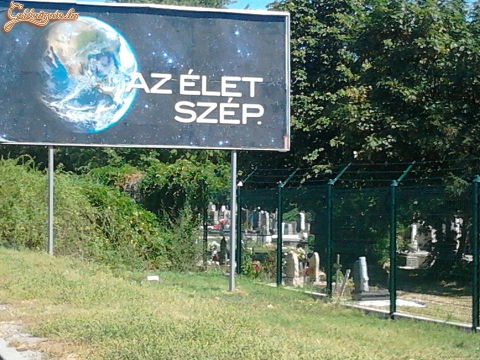 Az élet szép?