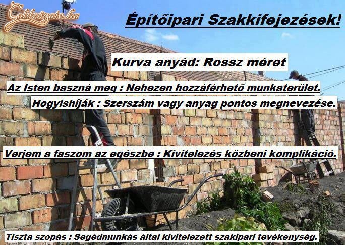 szakkifejezések