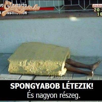 Spongyabob!