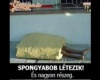Spongyabob!