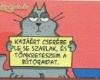 Házi kedvenc!